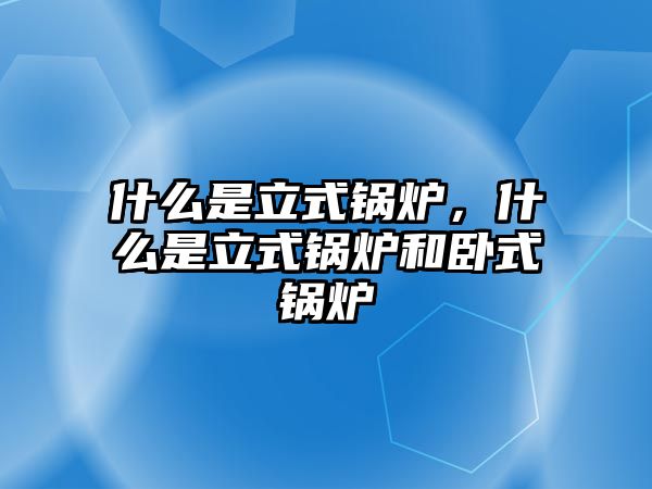 什么是立式鍋爐，什么是立式鍋爐和臥式鍋爐