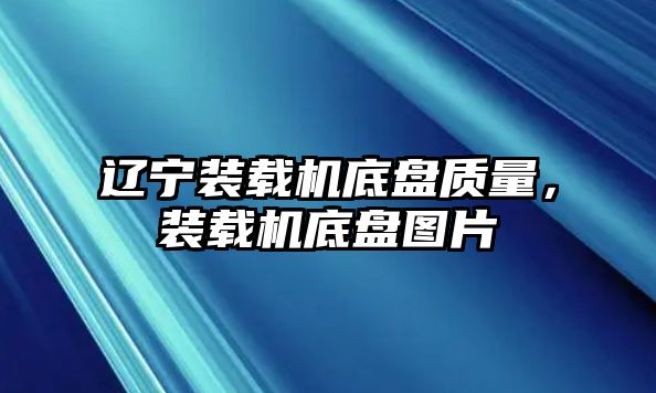 遼寧裝載機底盤質(zhì)量，裝載機底盤圖片