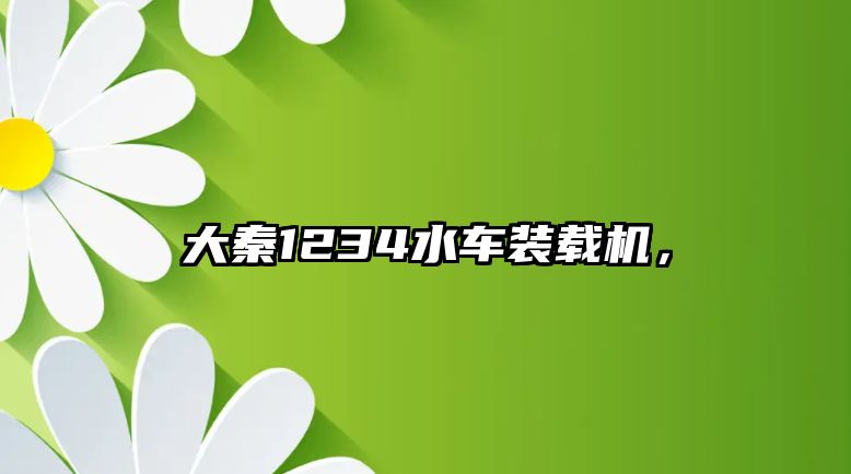 大秦1234水車裝載機，