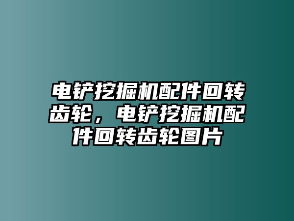 電鏟挖掘機配件回轉(zhuǎn)齒輪，電鏟挖掘機配件回轉(zhuǎn)齒輪圖片