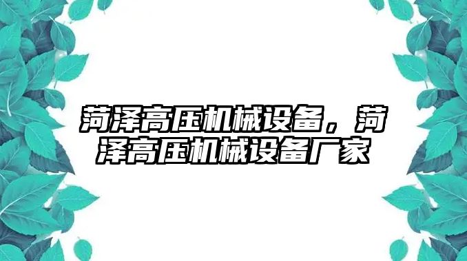 菏澤高壓機(jī)械設(shè)備，菏澤高壓機(jī)械設(shè)備廠家