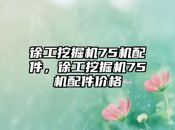 徐工挖掘機75機配件，徐工挖掘機75機配件價格