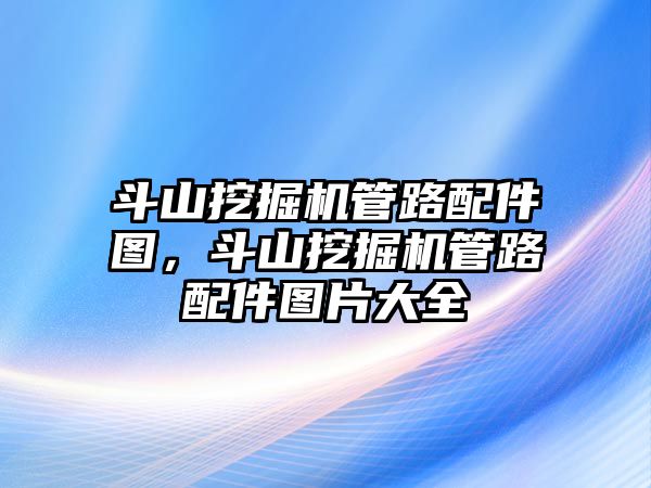 斗山挖掘機(jī)管路配件圖，斗山挖掘機(jī)管路配件圖片大全