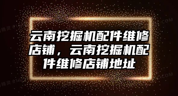 云南挖掘機(jī)配件維修店鋪，云南挖掘機(jī)配件維修店鋪地址