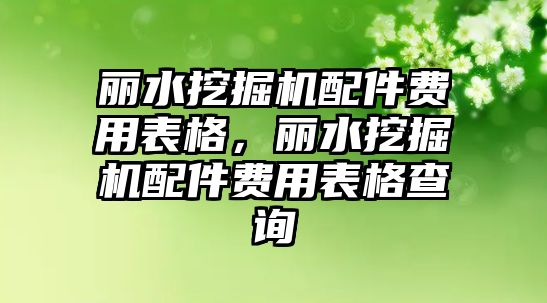 麗水挖掘機配件費用表格，麗水挖掘機配件費用表格查詢