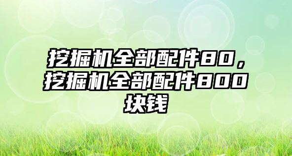 挖掘機全部配件80，挖掘機全部配件800塊錢