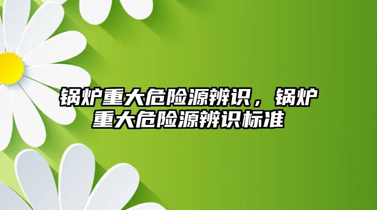 鍋爐重大危險源辨識，鍋爐重大危險源辨識標(biāo)準(zhǔn)