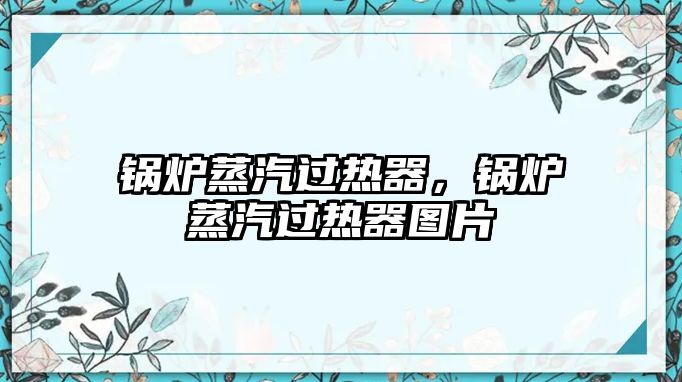 鍋爐蒸汽過(guò)熱器，鍋爐蒸汽過(guò)熱器圖片