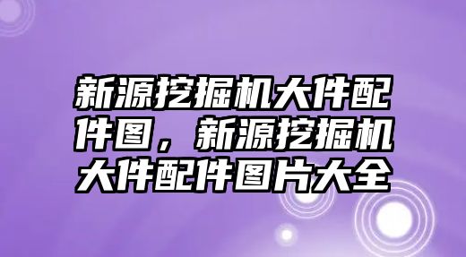 新源挖掘機(jī)大件配件圖，新源挖掘機(jī)大件配件圖片大全