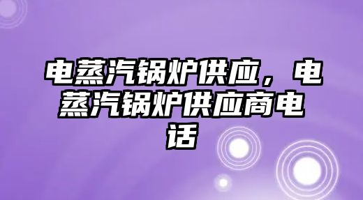 電蒸汽鍋爐供應，電蒸汽鍋爐供應商電話