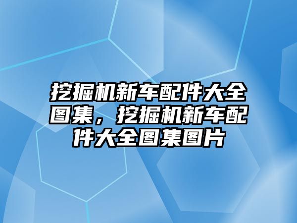 挖掘機新車配件大全圖集，挖掘機新車配件大全圖集圖片