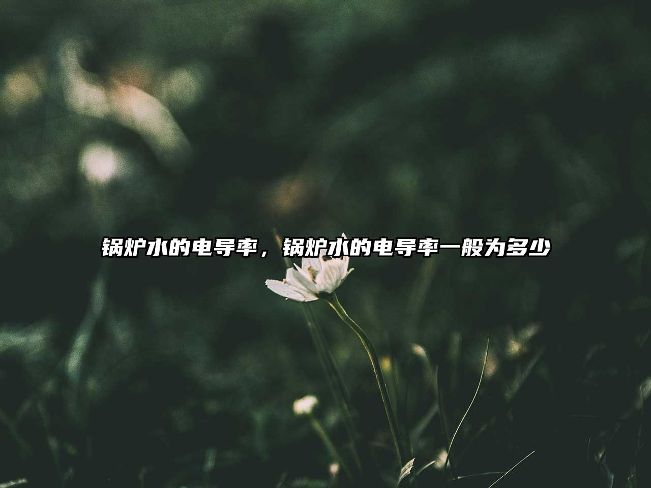 鍋爐水的電導(dǎo)率，鍋爐水的電導(dǎo)率一般為多少