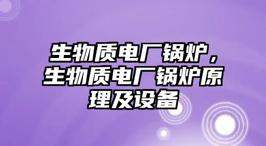 生物質電廠鍋爐，生物質電廠鍋爐原理及設備