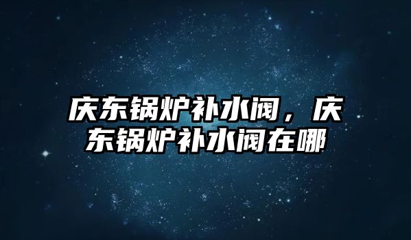 慶東鍋爐補水閥，慶東鍋爐補水閥在哪