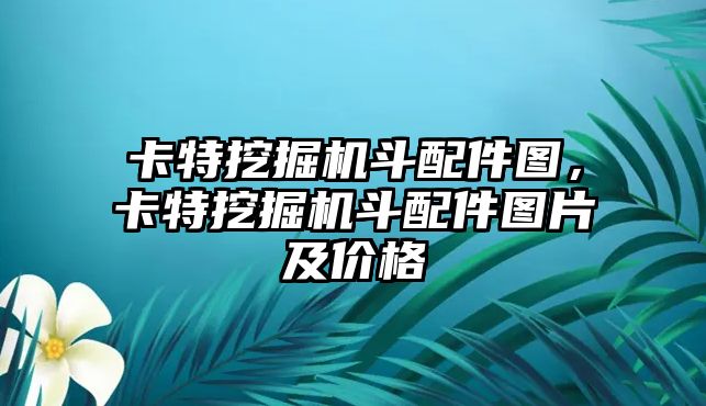 卡特挖掘機(jī)斗配件圖，卡特挖掘機(jī)斗配件圖片及價(jià)格