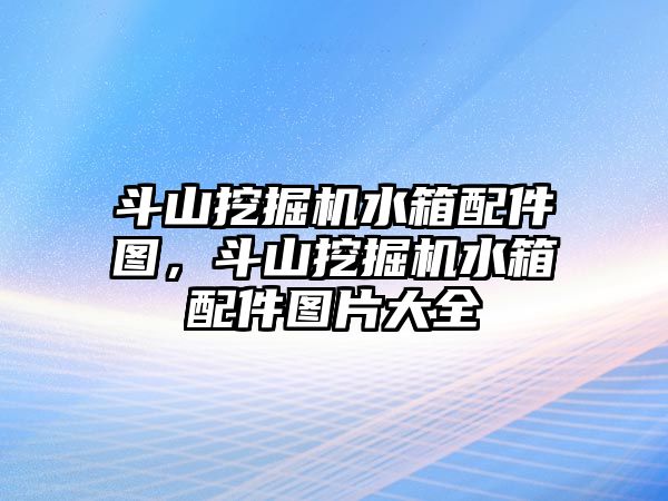 斗山挖掘機水箱配件圖，斗山挖掘機水箱配件圖片大全