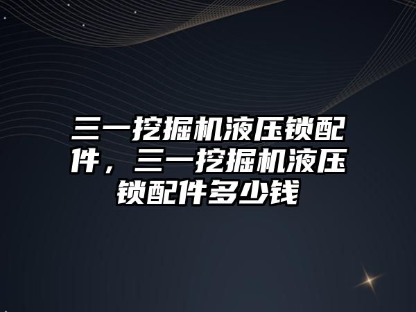 三一挖掘機液壓鎖配件，三一挖掘機液壓鎖配件多少錢