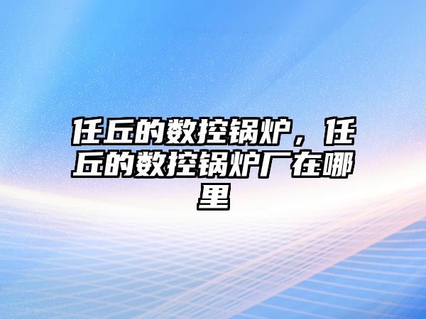 任丘的數(shù)控鍋爐，任丘的數(shù)控鍋爐廠在哪里