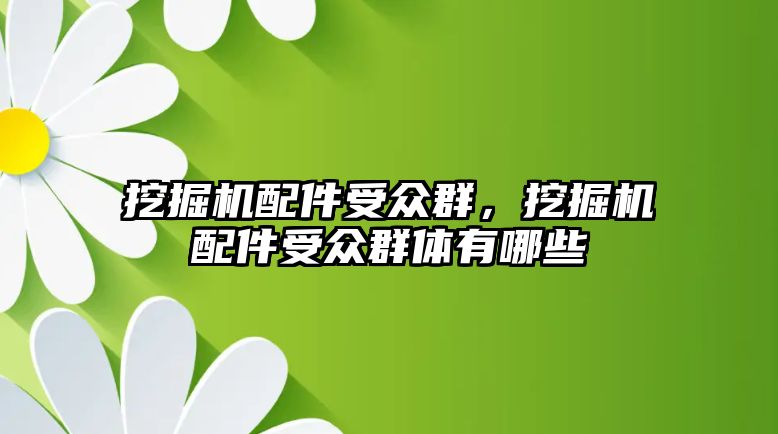 挖掘機配件受眾群，挖掘機配件受眾群體有哪些