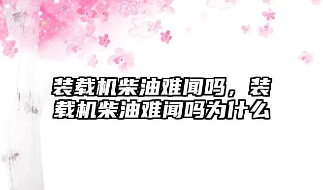 裝載機柴油難聞嗎，裝載機柴油難聞嗎為什么