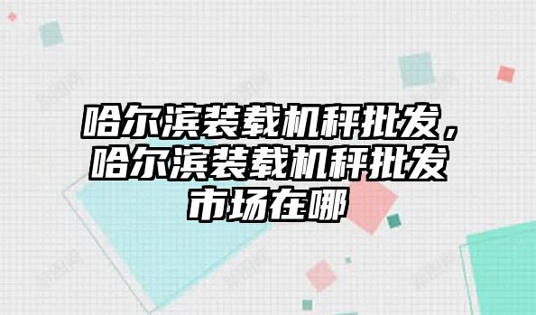 哈爾濱裝載機(jī)秤批發(fā)，哈爾濱裝載機(jī)秤批發(fā)市場(chǎng)在哪