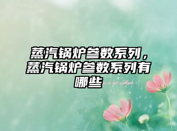 蒸汽鍋爐參數系列，蒸汽鍋爐參數系列有哪些