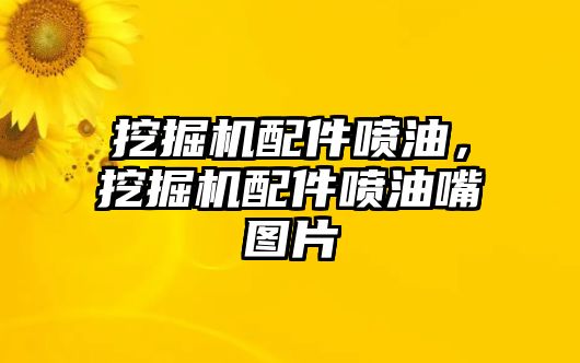 挖掘機配件噴油，挖掘機配件噴油嘴圖片