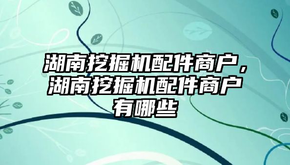 湖南挖掘機配件商戶，湖南挖掘機配件商戶有哪些