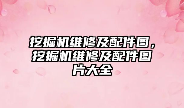 挖掘機維修及配件圖，挖掘機維修及配件圖片大全