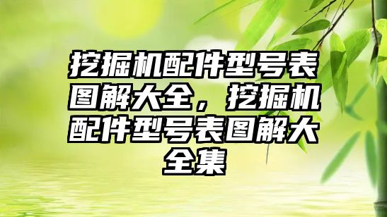 挖掘機配件型號表圖解大全，挖掘機配件型號表圖解大全集