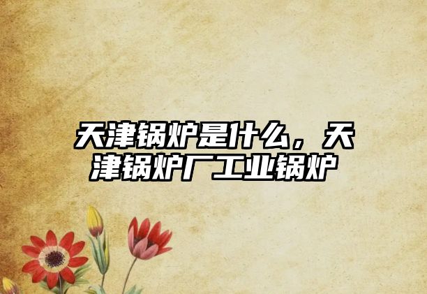 天津鍋爐是什么，天津鍋爐廠工業(yè)鍋爐