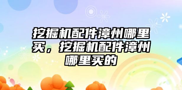 挖掘機配件漳州哪里買，挖掘機配件漳州哪里買的