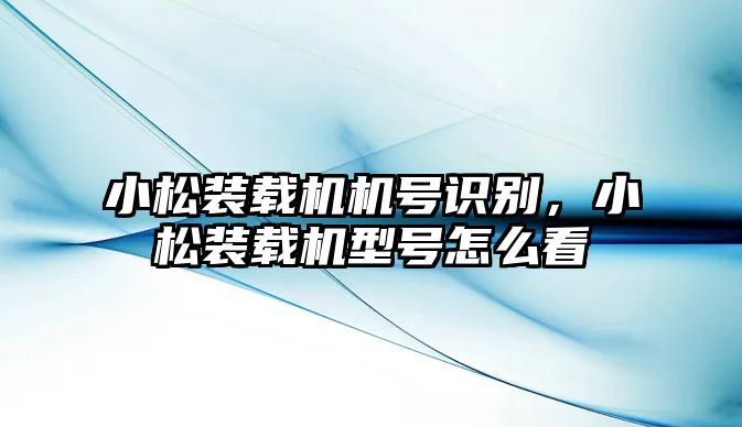 小松裝載機(jī)機(jī)號(hào)識(shí)別，小松裝載機(jī)型號(hào)怎么看