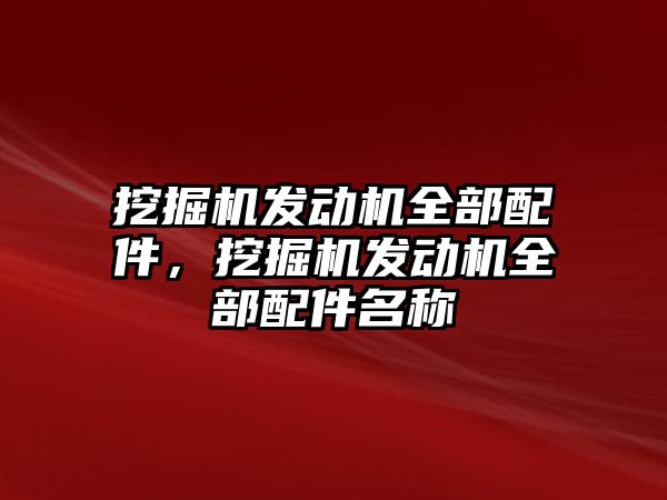 挖掘機發(fā)動機全部配件，挖掘機發(fā)動機全部配件名稱