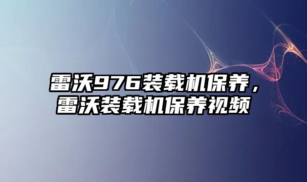 雷沃976裝載機保養(yǎng)，雷沃裝載機保養(yǎng)視頻