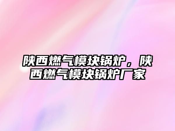 陜西燃?xì)饽K鍋爐，陜西燃?xì)饽K鍋爐廠家