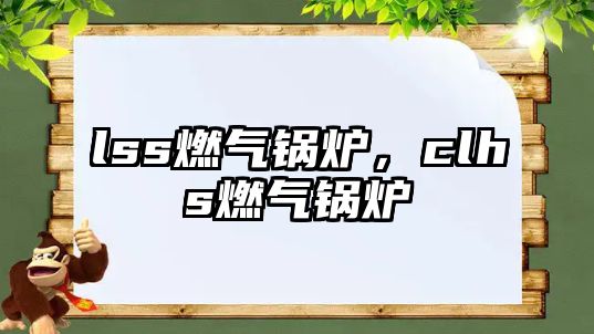 lss燃?xì)忮仩t，clhs燃?xì)忮仩t