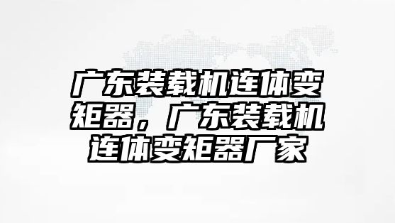 廣東裝載機連體變矩器，廣東裝載機連體變矩器廠家