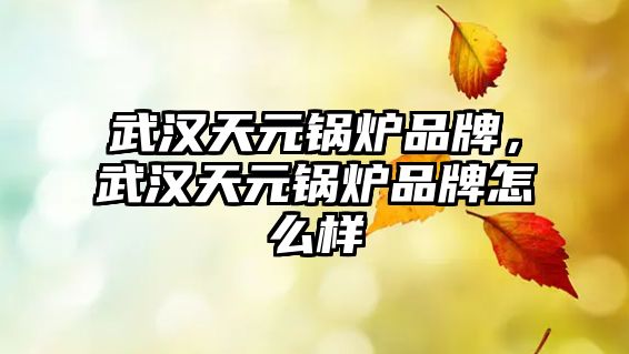 武漢天元鍋爐品牌，武漢天元鍋爐品牌怎么樣