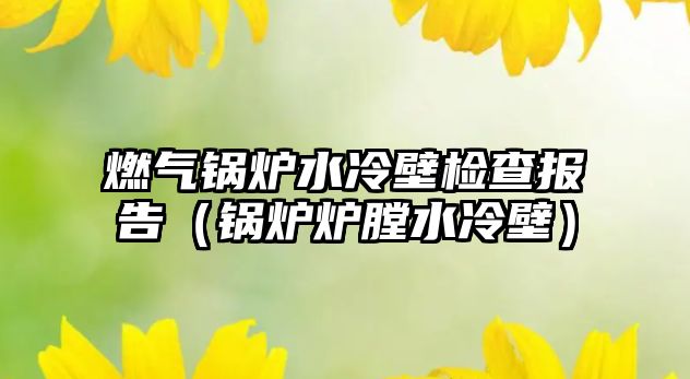 燃?xì)忮仩t水冷壁檢查報告（鍋爐爐膛水冷壁）