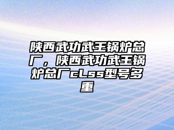 陜西武功武王鍋爐總廠，陜西武功武王鍋爐總廠cLss型號多重