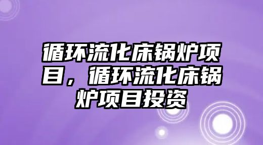 循環(huán)流化床鍋爐項目，循環(huán)流化床鍋爐項目投資