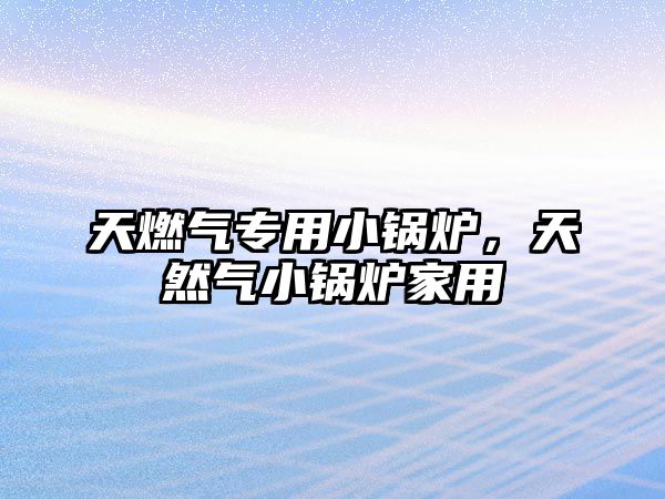 天燃?xì)鈱Ｓ眯″仩t，天然氣小鍋爐家用