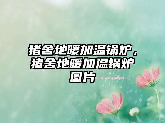 豬舍地暖加溫鍋爐，豬舍地暖加溫鍋爐圖片