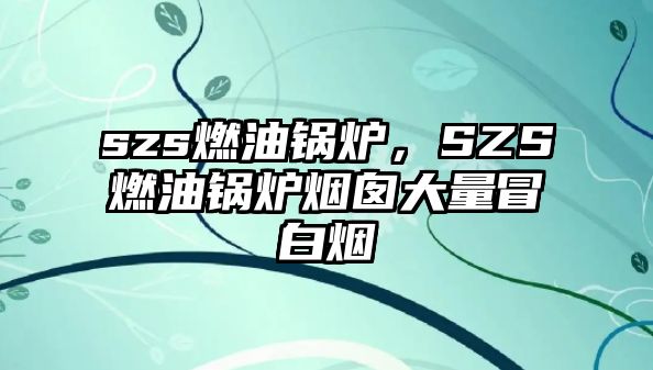 szs燃油鍋爐，SZS燃油鍋爐煙囪大量冒白煙