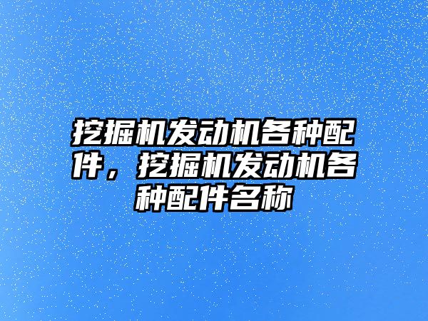 挖掘機發(fā)動機各種配件，挖掘機發(fā)動機各種配件名稱