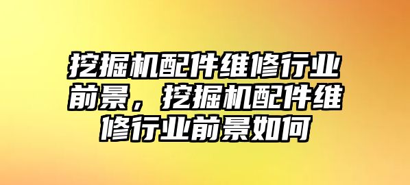 挖掘機配件維修行業(yè)前景，挖掘機配件維修行業(yè)前景如何