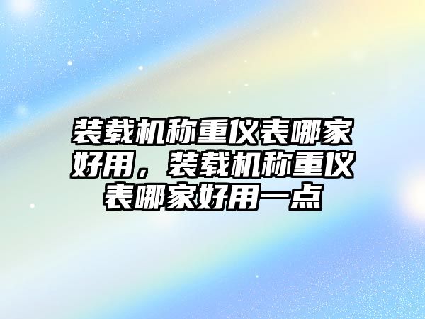 裝載機(jī)稱重儀表哪家好用，裝載機(jī)稱重儀表哪家好用一點(diǎn)