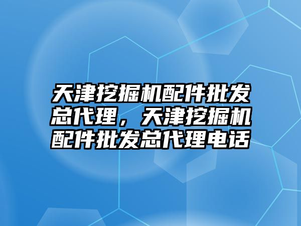 天津挖掘機配件批發(fā)總代理，天津挖掘機配件批發(fā)總代理電話