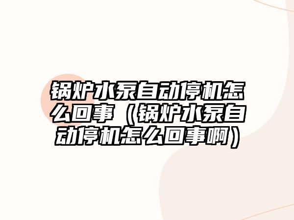 鍋爐水泵自動停機(jī)怎么回事（鍋爐水泵自動停機(jī)怎么回事?。?/>	
								</i>
								<p class=